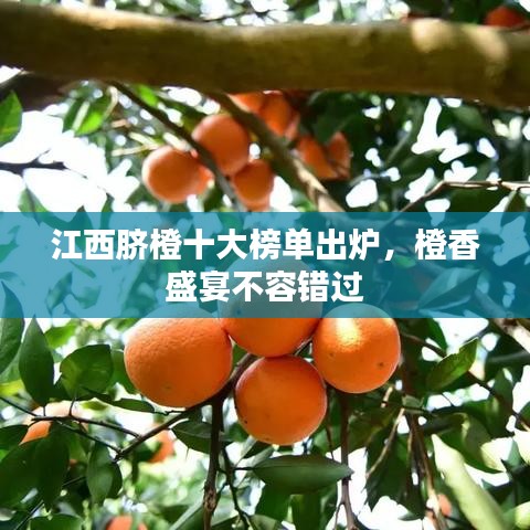 江西脐橙十大榜单出炉，橙香盛宴不容错过