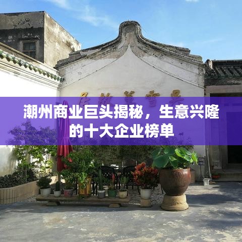 潮州商业巨头揭秘，生意兴隆的十大企业榜单