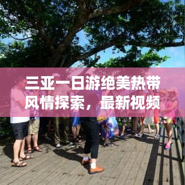 三亚一日游绝美热带风情探索，最新视频攻略带你畅游天堂