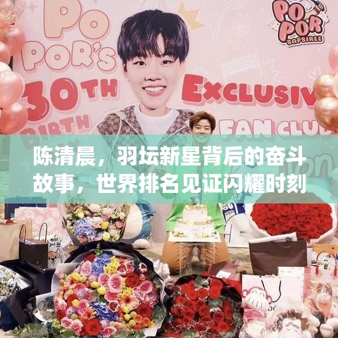 陈清晨,羽坛新星背后的奋斗故事,世界排名见证闪耀时刻!