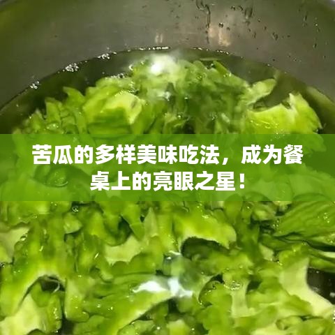 苦瓜的多样美味吃法，成为餐桌上的亮眼之星！