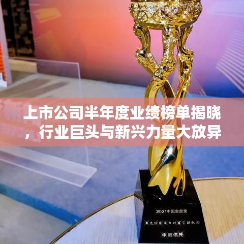 上市公司半年度业绩榜单揭晓，行业巨头与新兴力量大放异彩