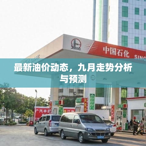 最新油价动态，九月走势分析与预测