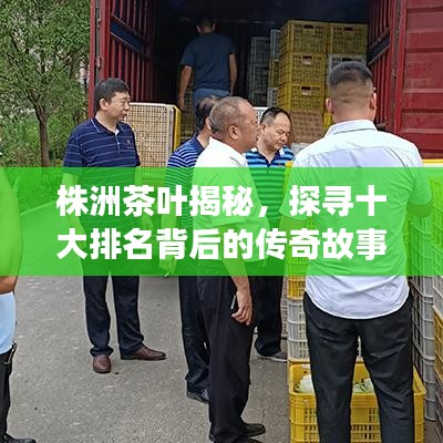 株洲茶叶揭秘，探寻十大排名背后的传奇故事