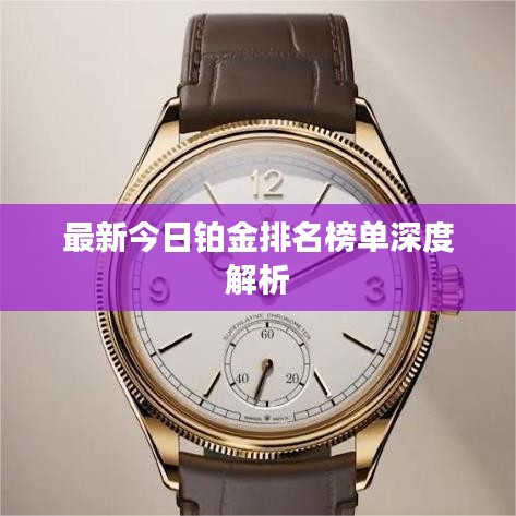 最新今日铂金排名榜单深度解析
