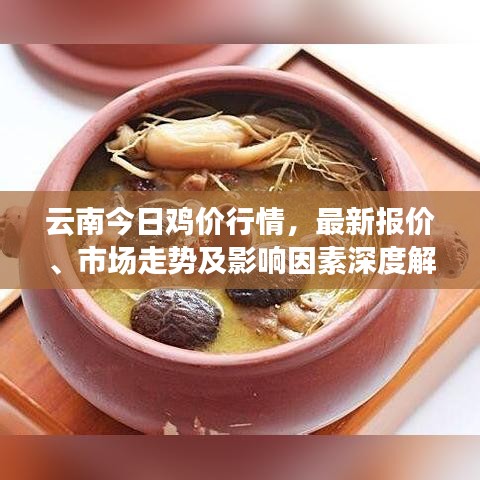 云南今日鸡价行情，最新报价、市场走势及影响因素深度解析