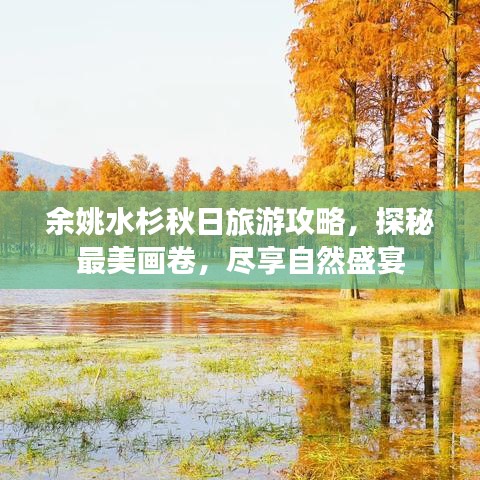 余姚水杉秋日旅游攻略，探秘最美画卷，尽享自然盛宴