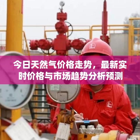 今日天然气价格走势,最新实时价格与市场趋势分析预测