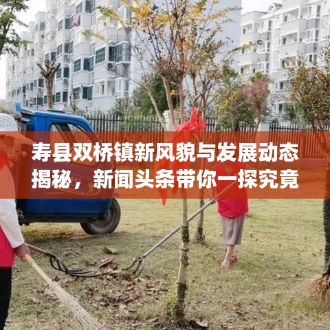 寿县双桥镇新风貌与发展动态揭秘，新闻头条带你一探究竟