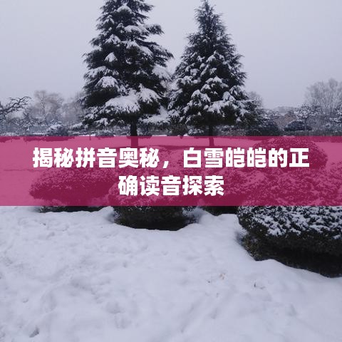 揭秘拼音奥秘，白雪皑皑的正确读音探索