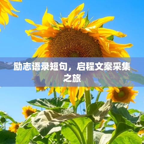 励志语录短句，启程文案采集之旅