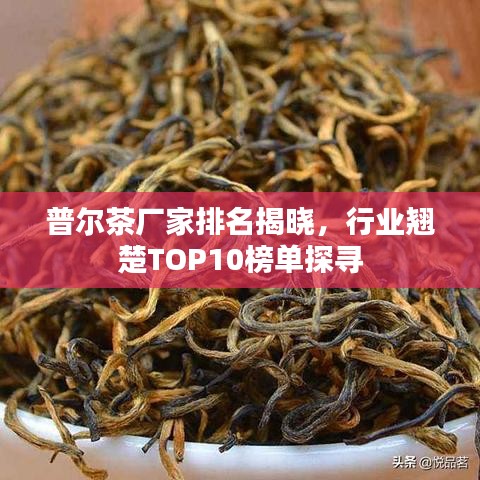 普尔茶厂家排名揭晓，行业翘楚TOP10榜单探寻