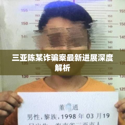 三亚陈某诈骗案最新进展深度解析