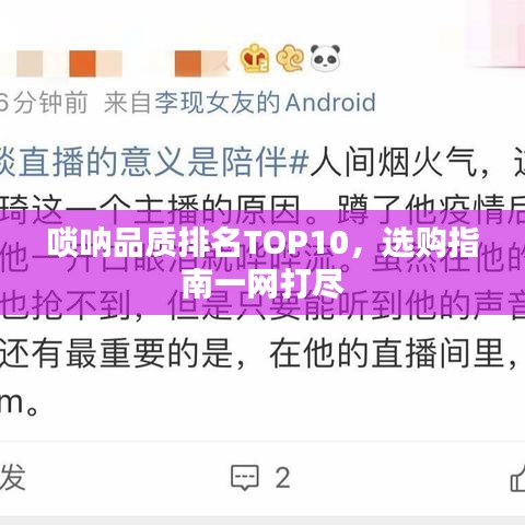 唢呐品质排名TOP10，选购指南一网打尽