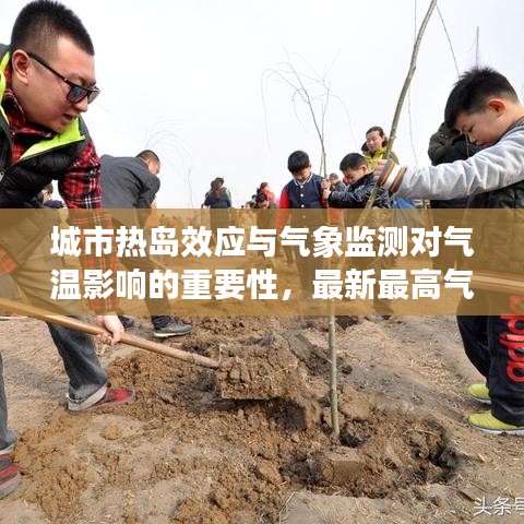 城市热岛效应与气象监测对气温影响的重要性，最新最高气温报道