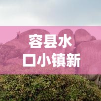容县水口小镇新貌，繁荣与发展引领时代潮流