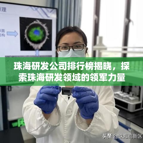 珠海研发公司排行榜揭晓,探索珠海研发领域的领军力量