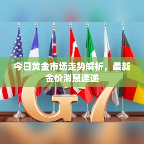 今日黄金市场走势解析,最新金价消息速递