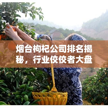 烟台枸杞公司排名揭秘，行业佼佼者大盘点