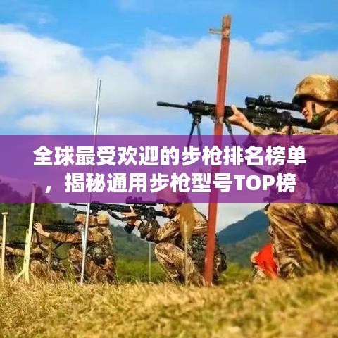 全球最受欢迎的步枪排名榜单，揭秘通用步枪型号TOP榜