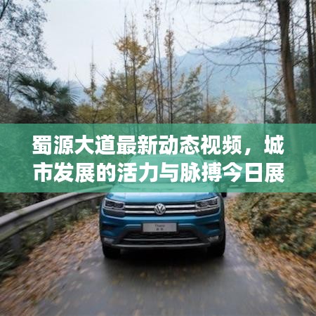 蜀源大道最新动态视频，城市发展的活力与脉搏今日展现