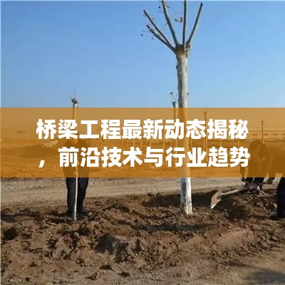 桥梁工程最新动态揭秘，前沿技术与行业趋势展望