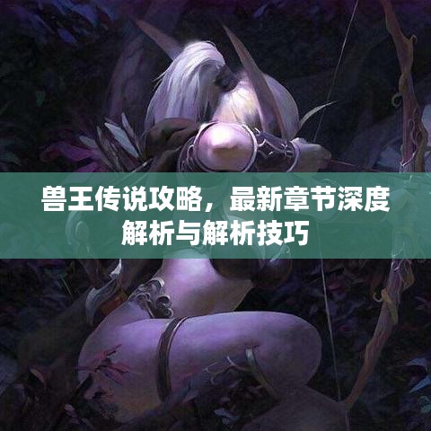 兽王传说攻略，最新章节深度解析与解析技巧