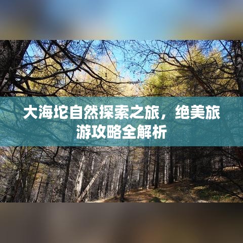 大海坨自然探索之旅，绝美旅游攻略全解析