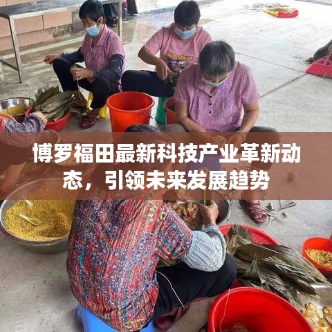 博罗福田最新科技产业革新动态，引领未来发展趋势