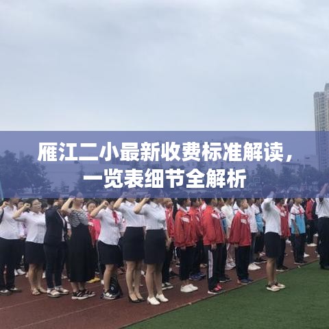 雁江二小最新收费标准解读，一览表细节全解析