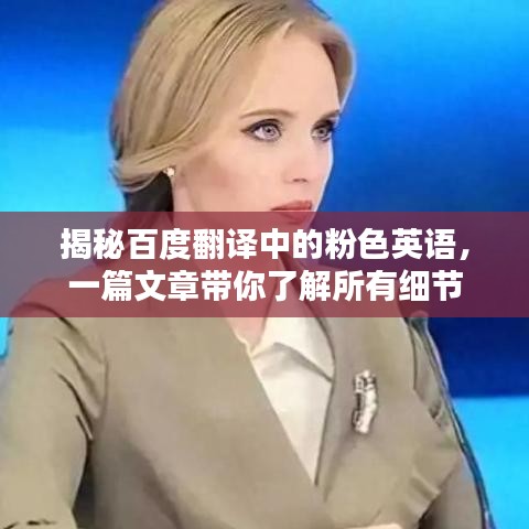 揭秘百度翻译中的粉色英语，一篇文章带你了解所有细节