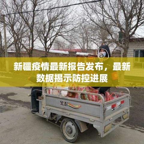新疆疫情最新报告发布,最新数据揭示防控进展