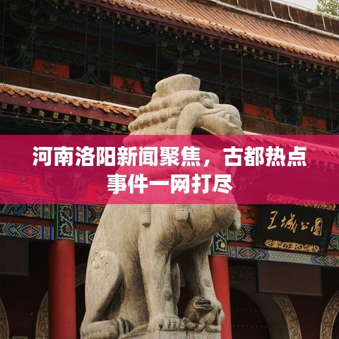 河南洛阳新闻聚焦，古都热点事件一网打尽