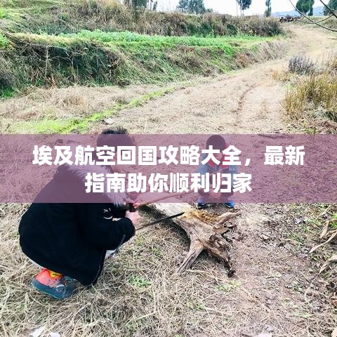 埃及航空回国攻略大全，最新指南助你顺利归家