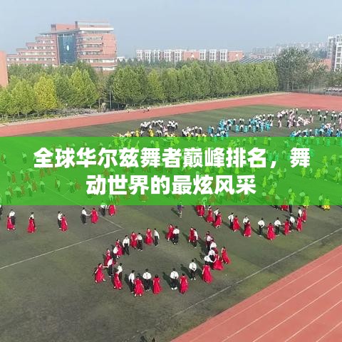 全球华尔兹舞者巅峰排名，舞动世界的最炫风采