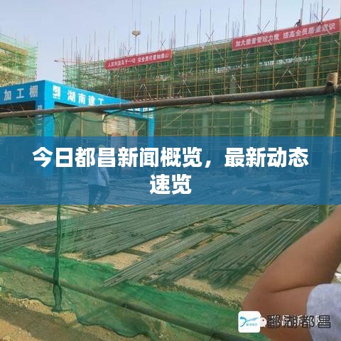 今日都昌新闻概览，最新动态速览