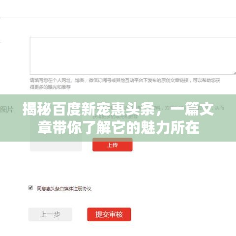 揭秘百度新宠惠头条，一篇文章带你了解它的魅力所在