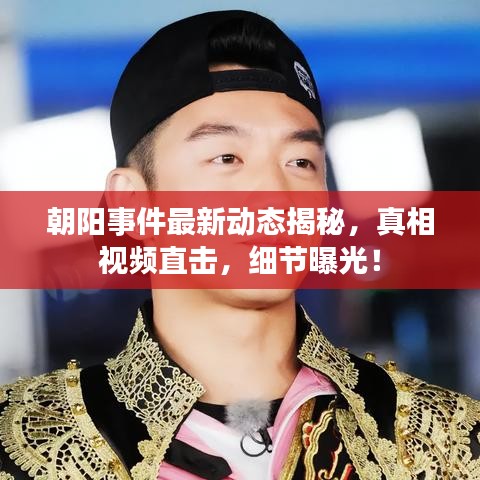 朝阳事件最新动态揭秘，真相视频直击，细节曝光！