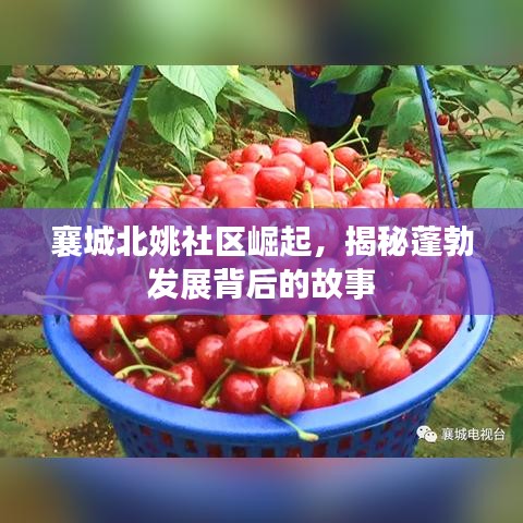 襄城北姚社区崛起，揭秘蓬勃发展背后的故事