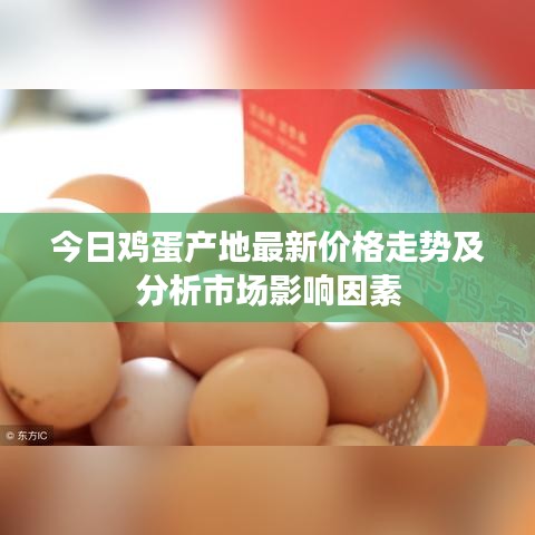 今日鸡蛋产地最新价格走势及分析市场影响因素