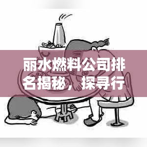 丽水燃料公司排名揭秘，探寻行业领军者