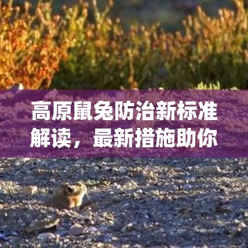 高原鼠兔防治新标准解读，最新措施助你应对高原鼠兔问题