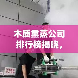 木质熏蒸公司排行榜揭晓，行业领军者一览无余！
