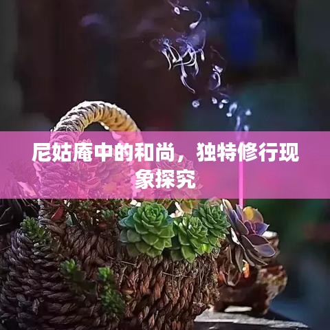 尼姑庵中的和尚，独特修行现象探究