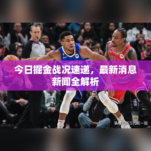 今日掘金战况速递，最新消息新闻全解析