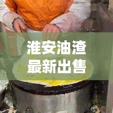 淮安油渣最新出售信息及价格走势解析