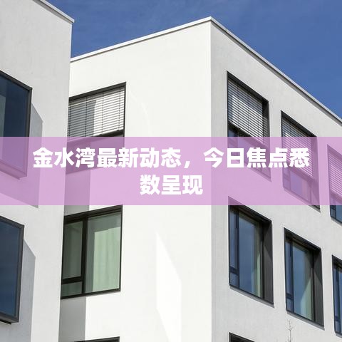 金水湾最新动态，今日焦点悉数呈现