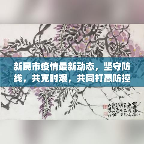 新民市疫情最新动态，坚守防线，共克时艰，共同打赢防控战