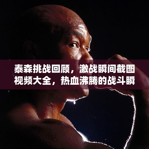 泰森挑战回顾，激战瞬间截图视频大全，热血沸腾的战斗瞬间！