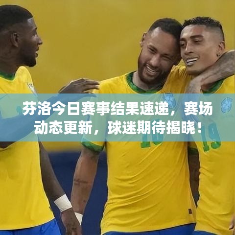 芬洛今日赛事结果速递，赛场动态更新，球迷期待揭晓！